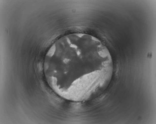 X0000111820131200908131532