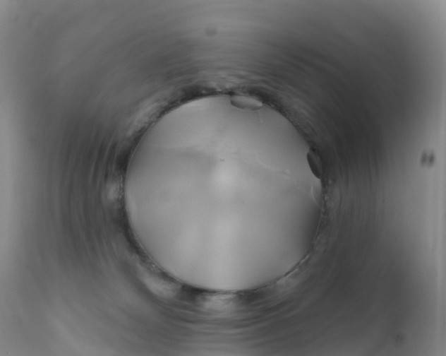 X0000111820132200908131531