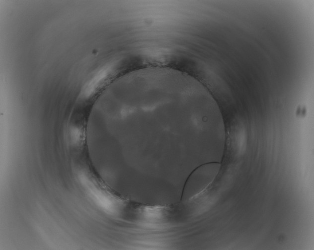 X0000111820134200908131531