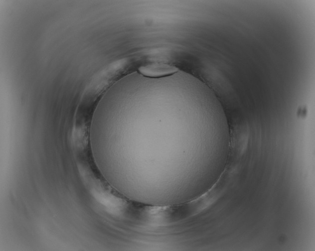 X0000111820136200908131531