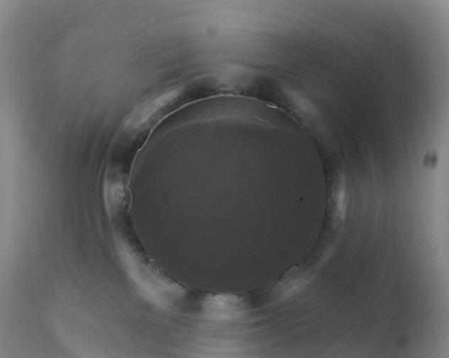 X0000111820137200908131531