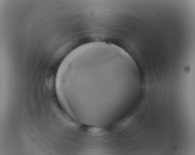 X0000111820139200908131531