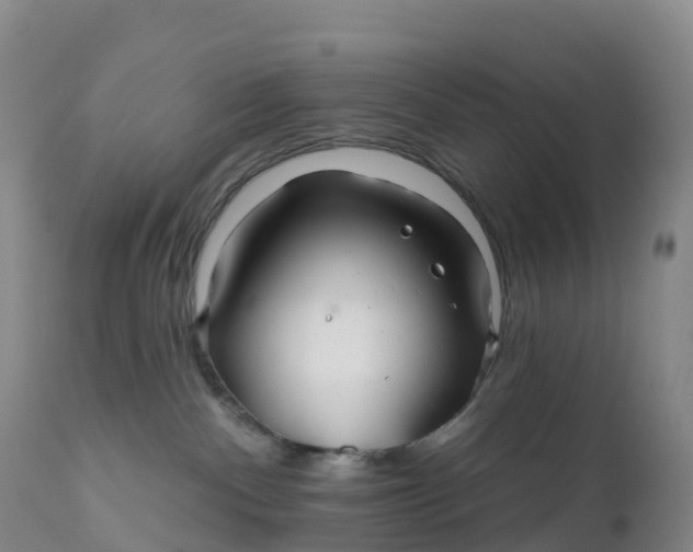 X0000111820140200908131531