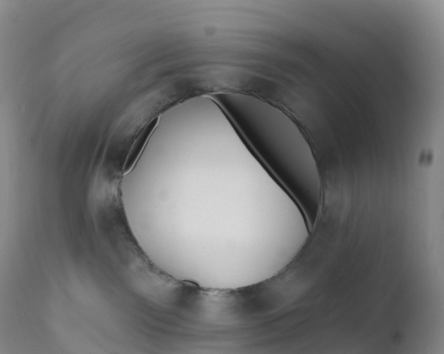 X0000111820141200908131531