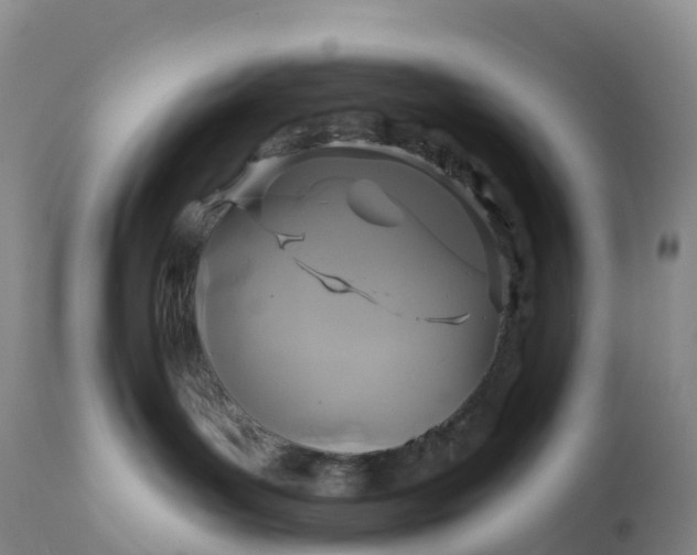 X0000111820143200908131531