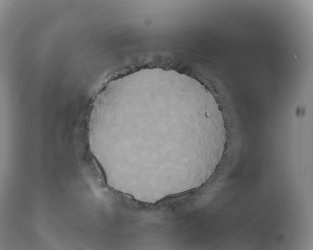 X0000111820144200908131531