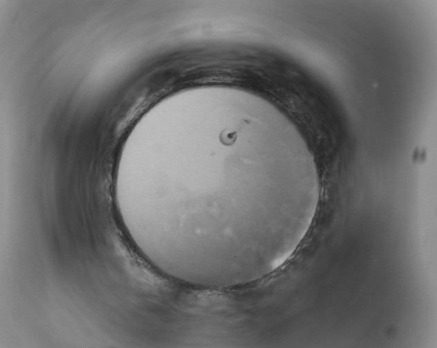 X0000111820146200908131531