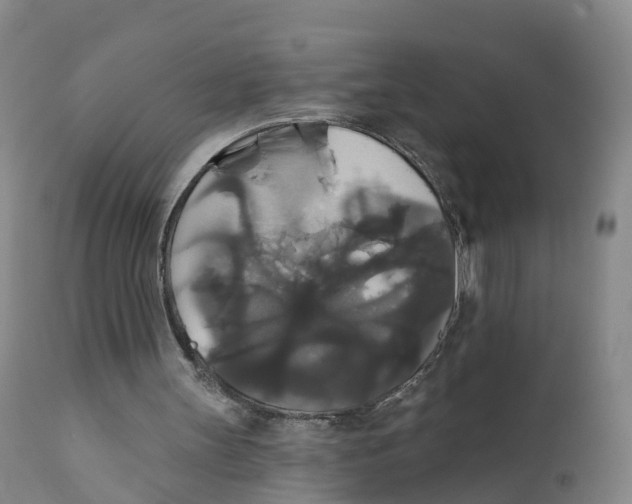 X0000111820147200908131531