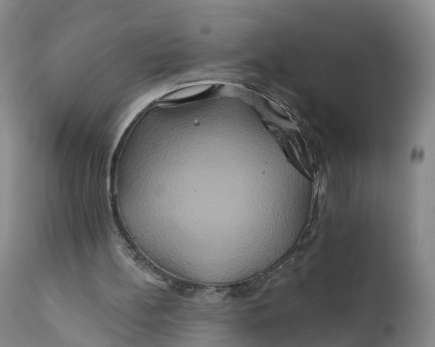 X0000111820148200908131531