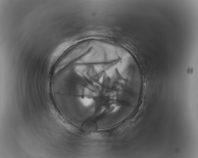 X0000111820149200908131531