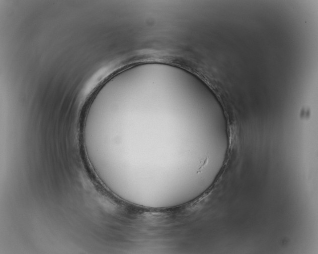 X0000111820150200908131531