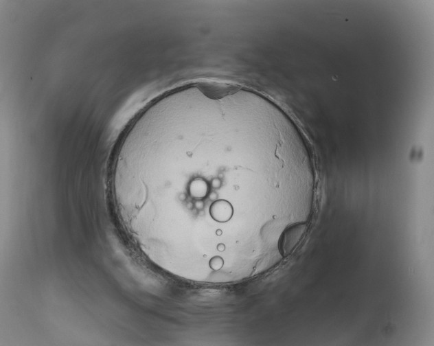 X0000111820151200908131531