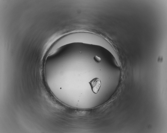 X0000111820152200908131531