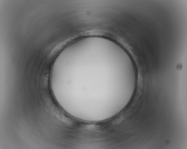 X0000111820153200908131531