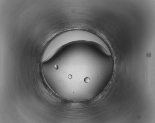 X0000111820154200908131531