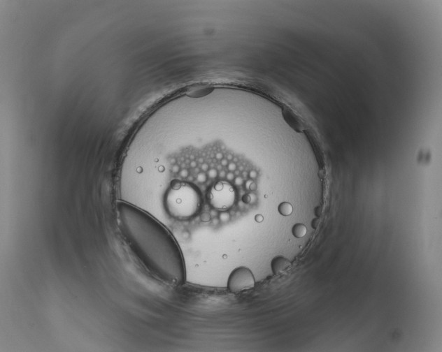 X0000111820155200908131531