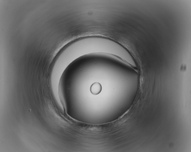 X0000111820156200908131531