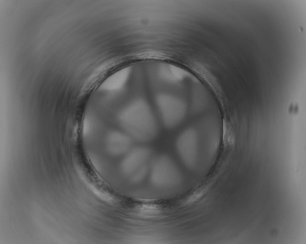 X0000111820157200908131531