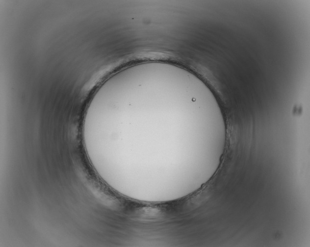 X0000111820159200908131531