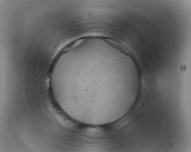 X0000111820160200908131531