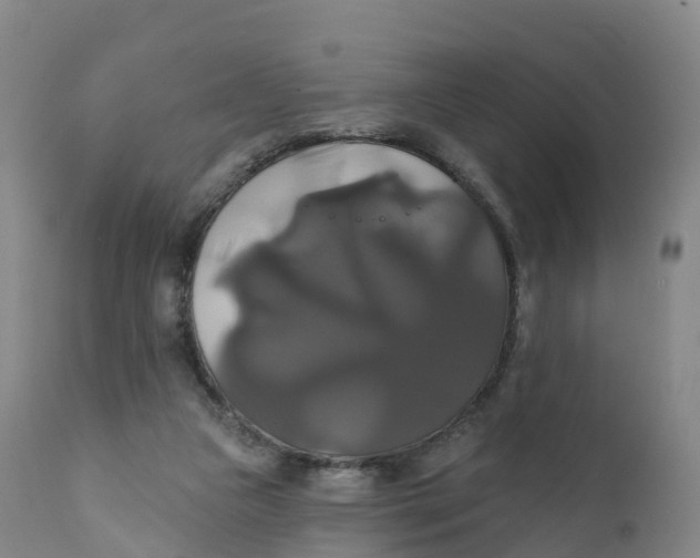 X0000111820161200908131531