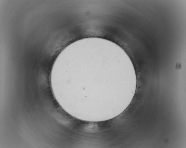 X0000111820162200908131531