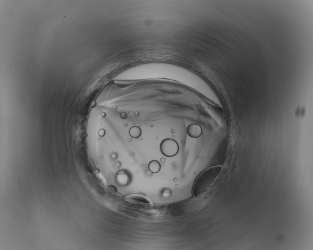 X0000111820163200908131531