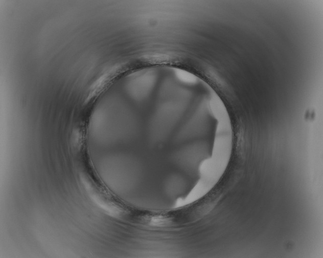 X0000111820165200908131531