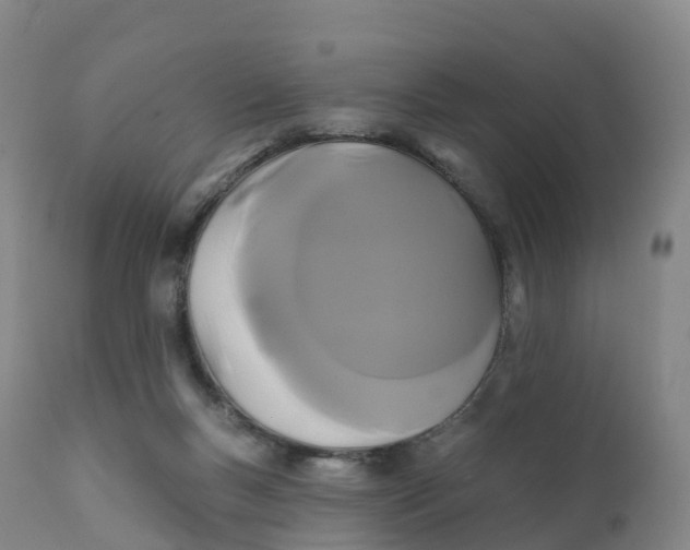 X0000111820167200908131531