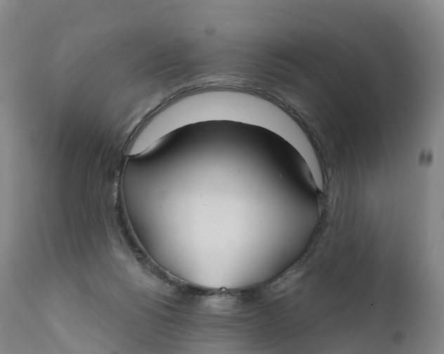 X0000111820168200908131531