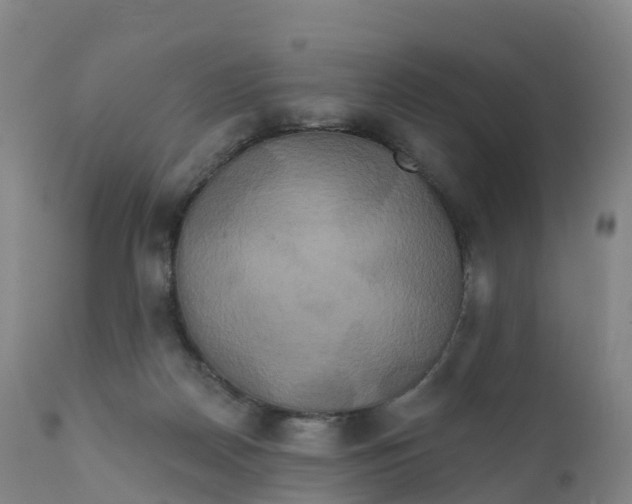 X0000111820170200908131531