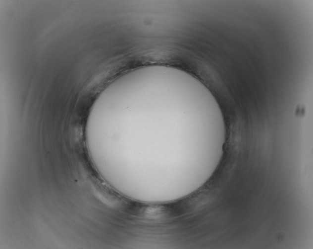 X0000111820173200908131531