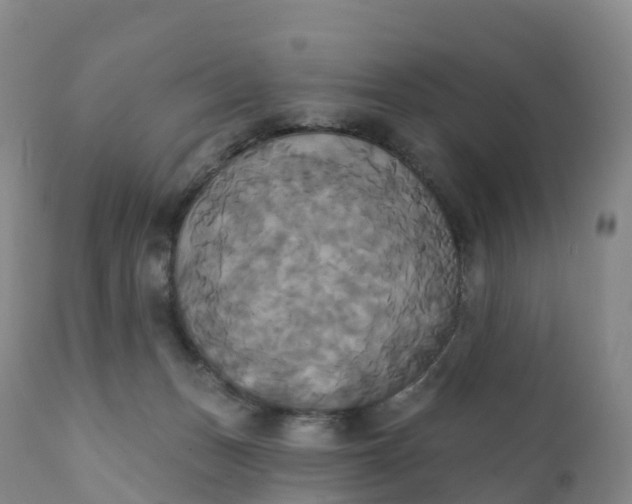 X0000111820175200908131531