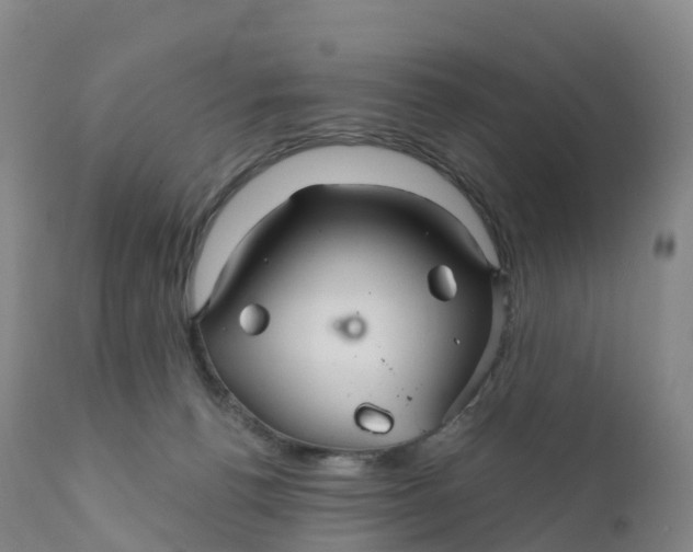 X0000111820176200908131531