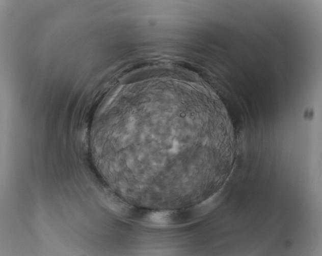 X0000111820178200908131531