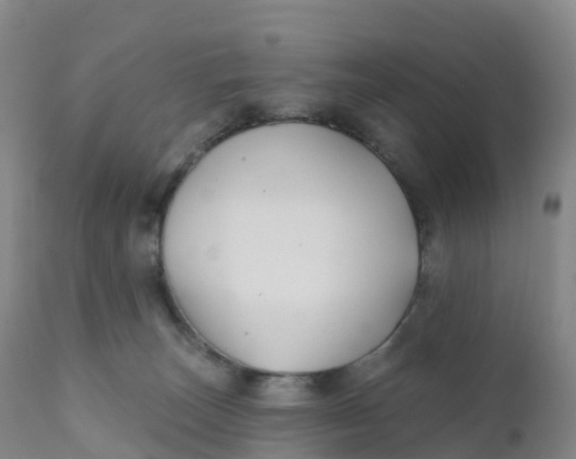 X0000111820179200908131531