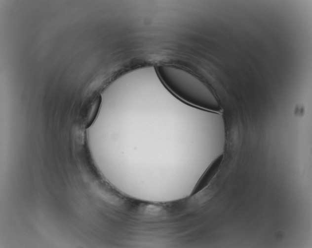 X0000111820180200908131531