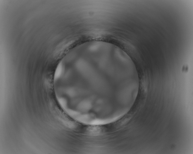 X0000111820181200908131531