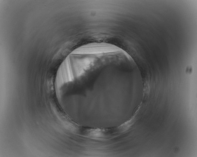 X0000111820182200908131531