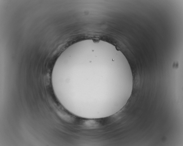 X0000111820183200908131531