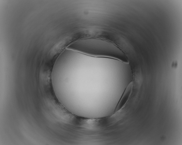 X0000111820184200908131531