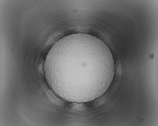 X0000111820185200908131531