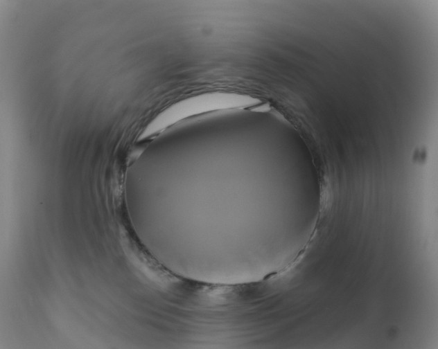 X0000111820186200908131531