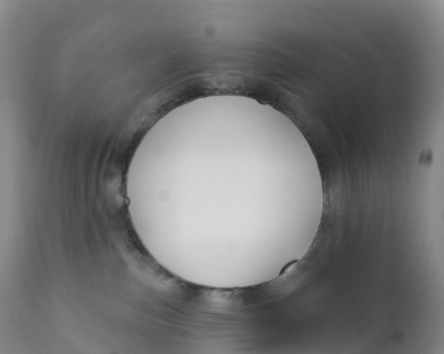 X0000111820187200908131531