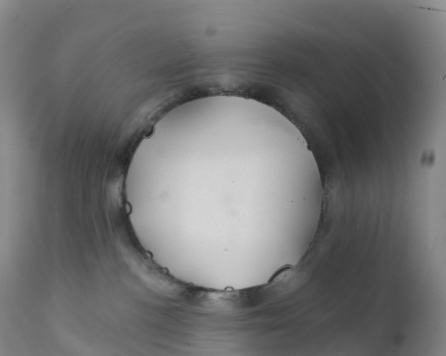 X0000111820188200908131531