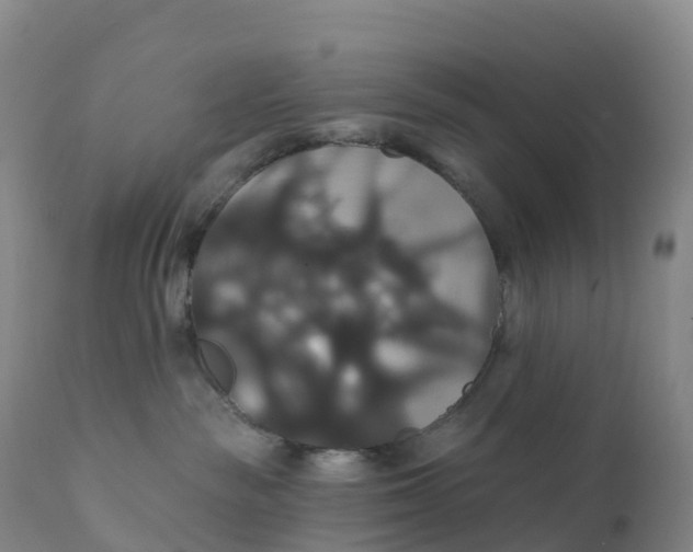 X0000111820189200908131531