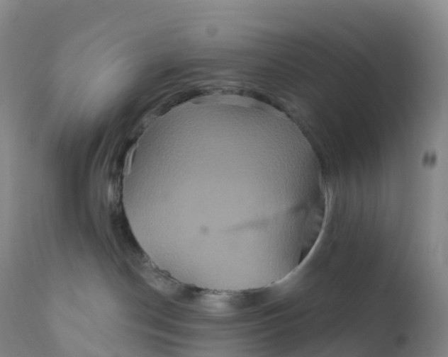 X0000111820190200908131531