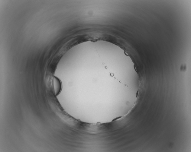 X0000111820191200908131531