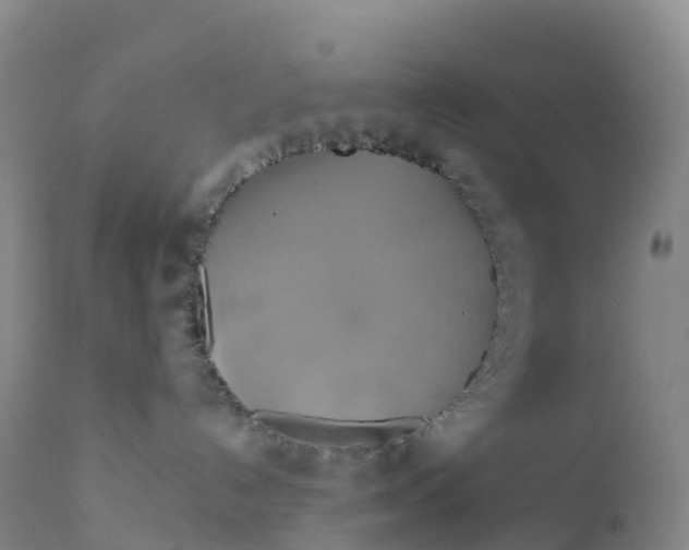 X0000111820192200908131531