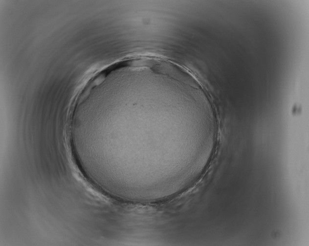 X0000111820193200908131530